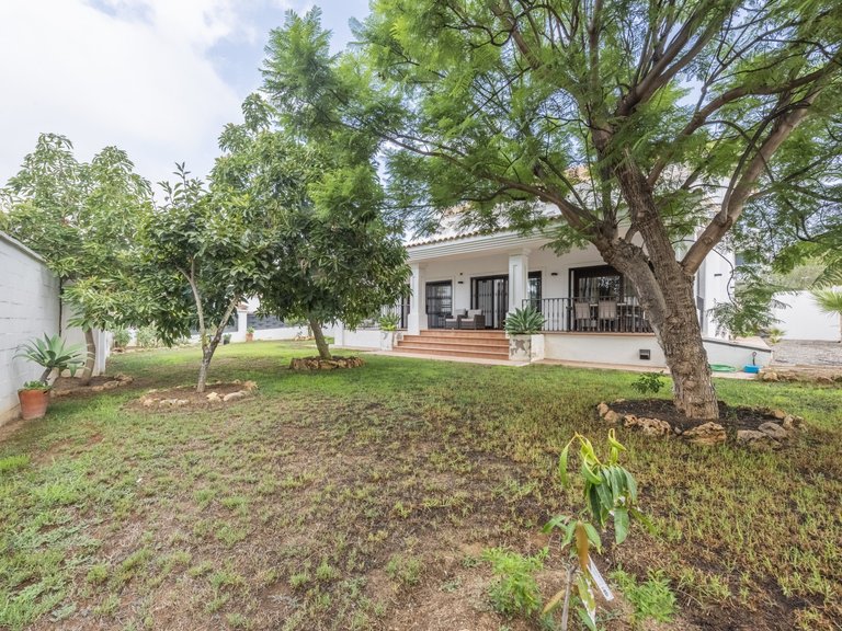 Chalet Independiente en venta San Pedro de Alcántara 27