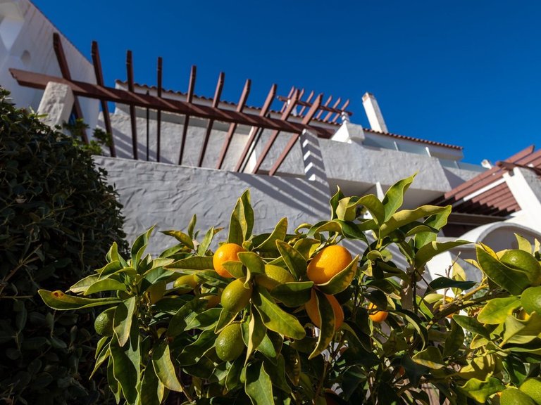 Apartment for Sale in Marbella, Malaga 15