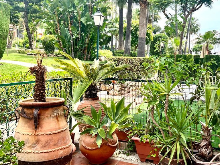 Town House for Sale in Estepona Malaga 17