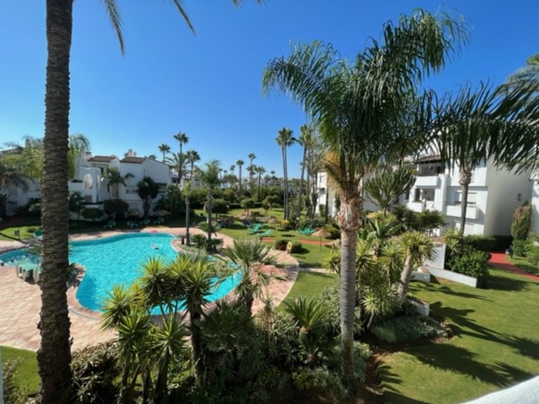 Apartment for Rent in Estepona Malaga 2