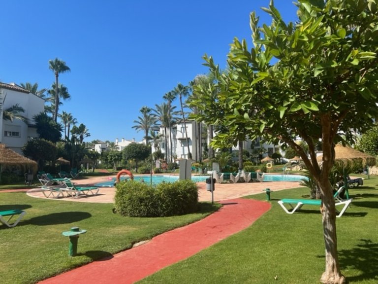 Apartment for Rent in Estepona Malaga 18