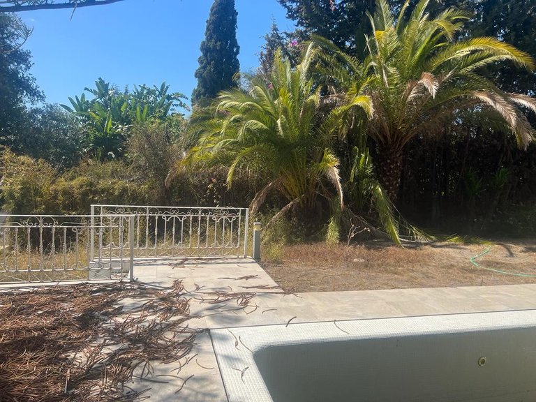 Plot for Sale in Nueva Andalucia Malaga 5