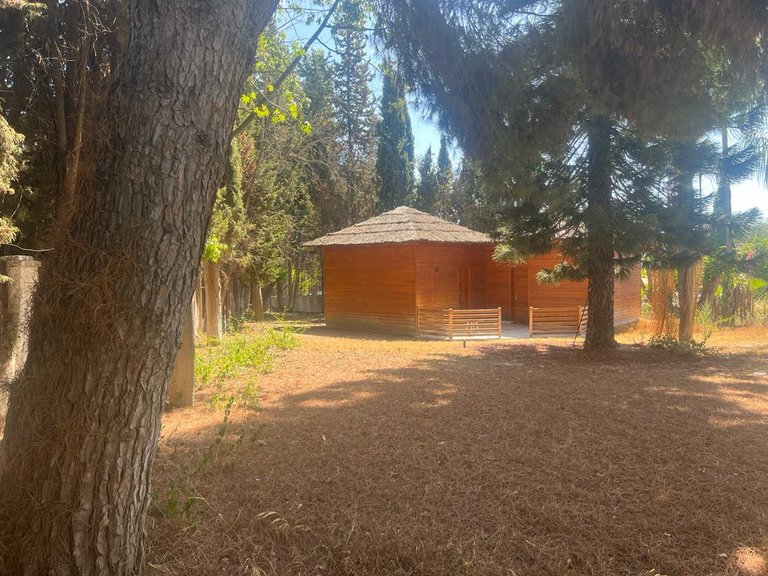 Plot for Sale in Nueva Andalucia Malaga 1