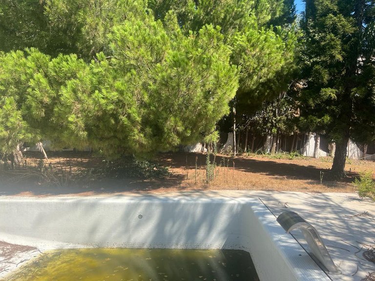 Plot for Sale in Nueva Andalucia Malaga 7