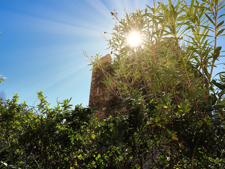 Apartment for Sale in Benahavis Malaga 4