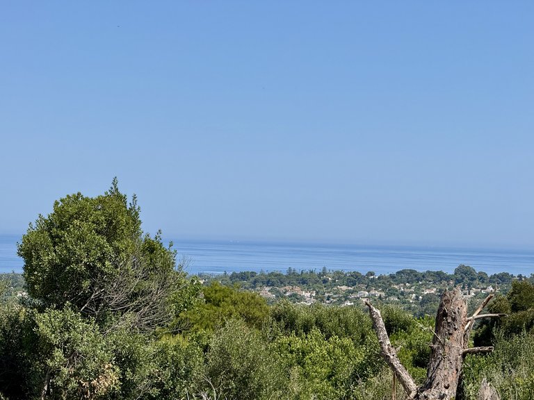 Plot for Sale in Sotogrande Cadiz 9