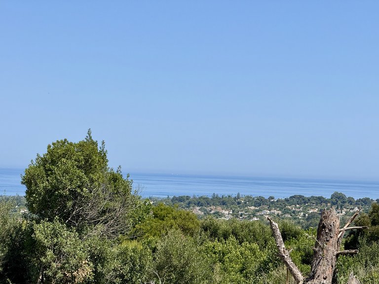 Plot for Sale in Sotogrande Cadiz 10