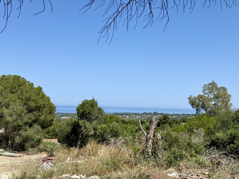 Plot for Sale in Sotogrande Cadiz 14