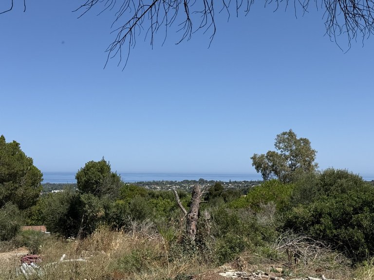 Plot for Sale in Sotogrande Cadiz 18