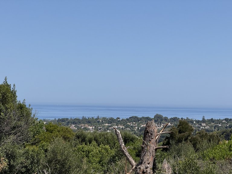 Plot for Sale in Sotogrande Cadiz 15