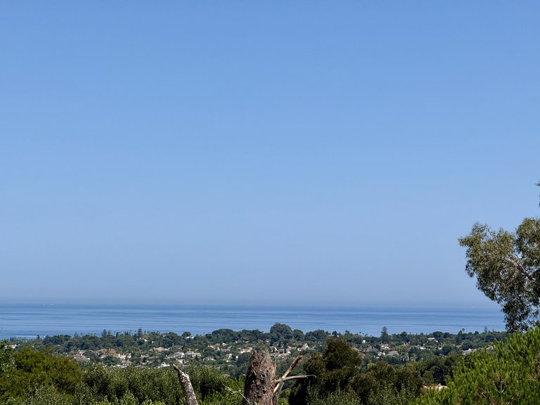 Plot for Sale in Sotogrande Cadiz 19
