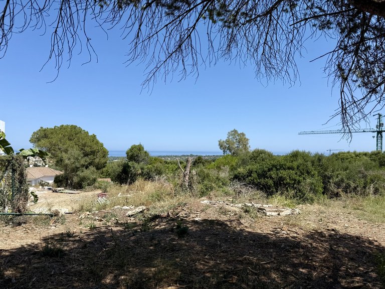 Plot for Sale in Sotogrande Cadiz 17