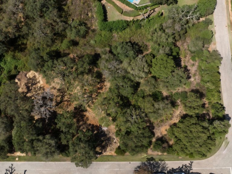 Plot for Sale in Sotogrande Cadiz 1