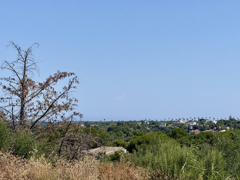 Plot for Sale in Sotogrande Cadiz 13