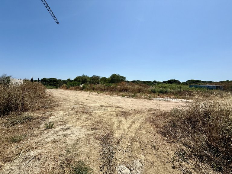 Plot for Sale in Sotogrande Cadiz 7