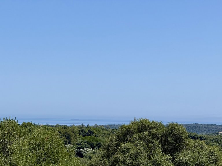 Plot for Sale in Sotogrande Cadiz 12
