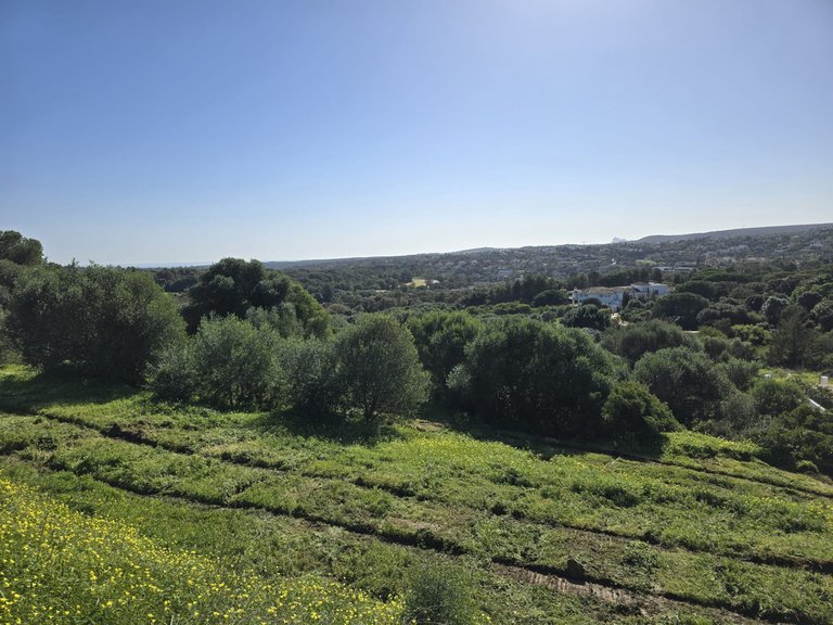 Plot for Sale in Sotogrande Cadiz 3