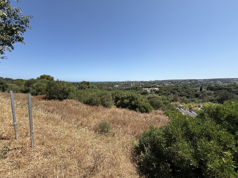 Plot for Sale in Sotogrande Cadiz 10