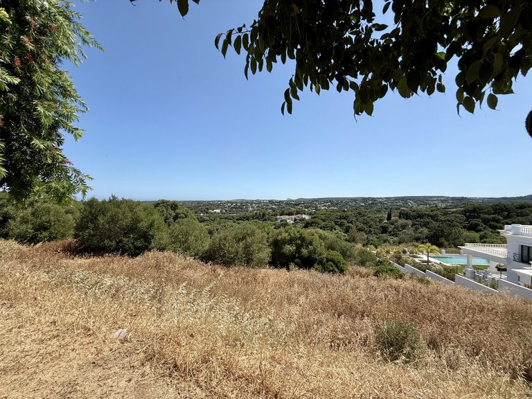Plot for Sale in Sotogrande Cadiz 14