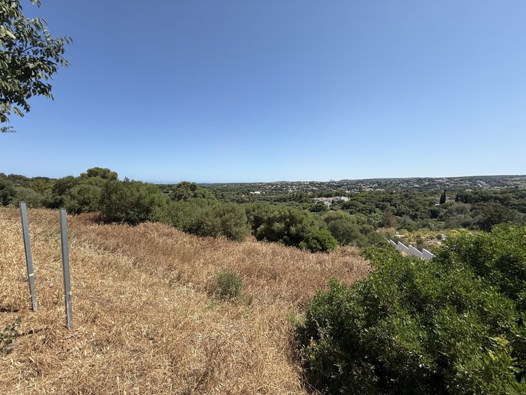 Plot for Sale in Sotogrande Cadiz 9