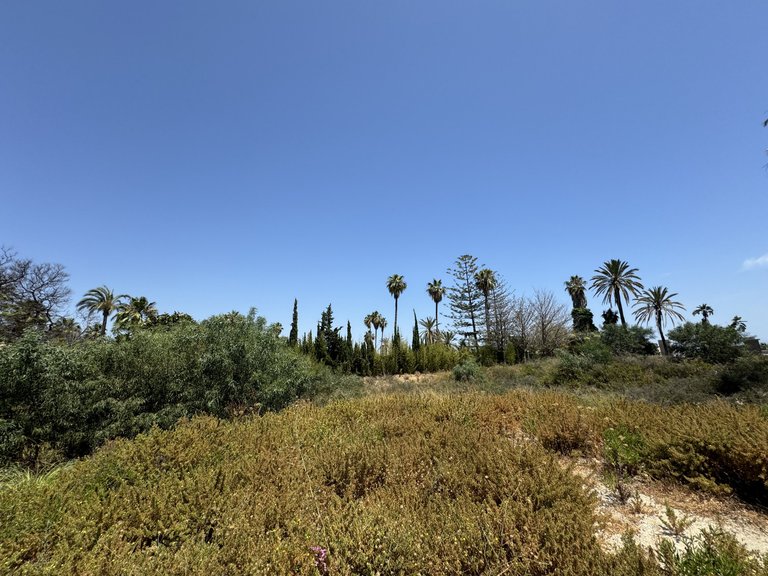 Plot for Sale in Nueva Andalucia Malaga 12