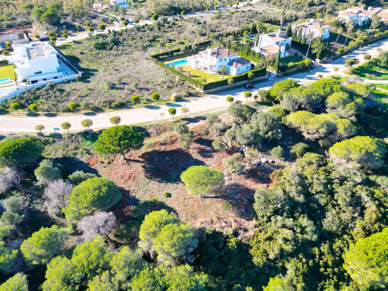 Plot for Sale in Sotogrande Cadiz 4