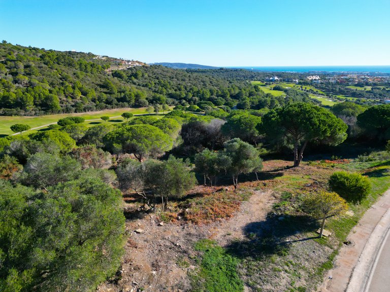 Plot for Sale in Sotogrande Cadiz 5