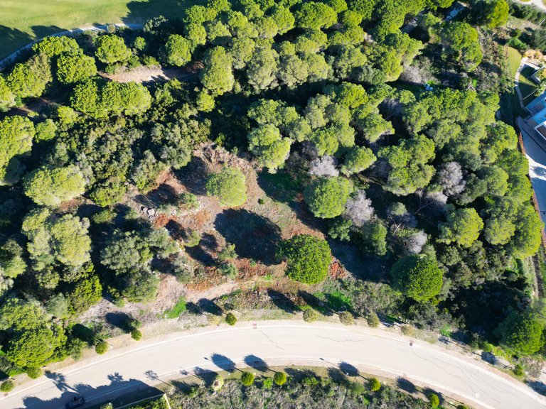 Plot for Sale in Sotogrande Cadiz 2