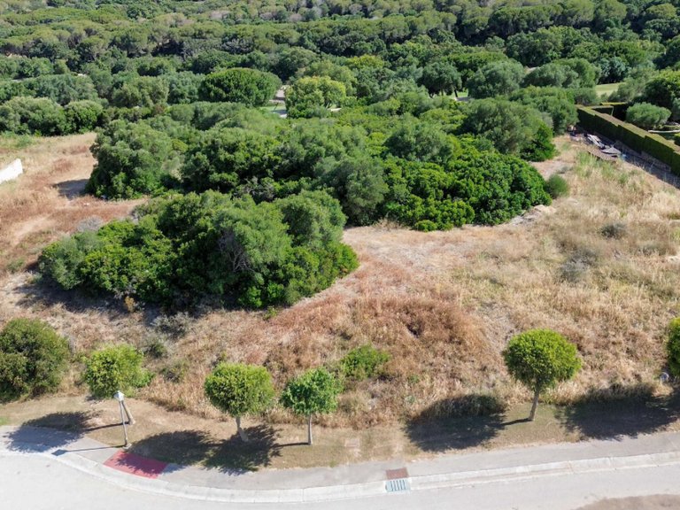 Plot for Sale in Sotogrande Cadiz 2