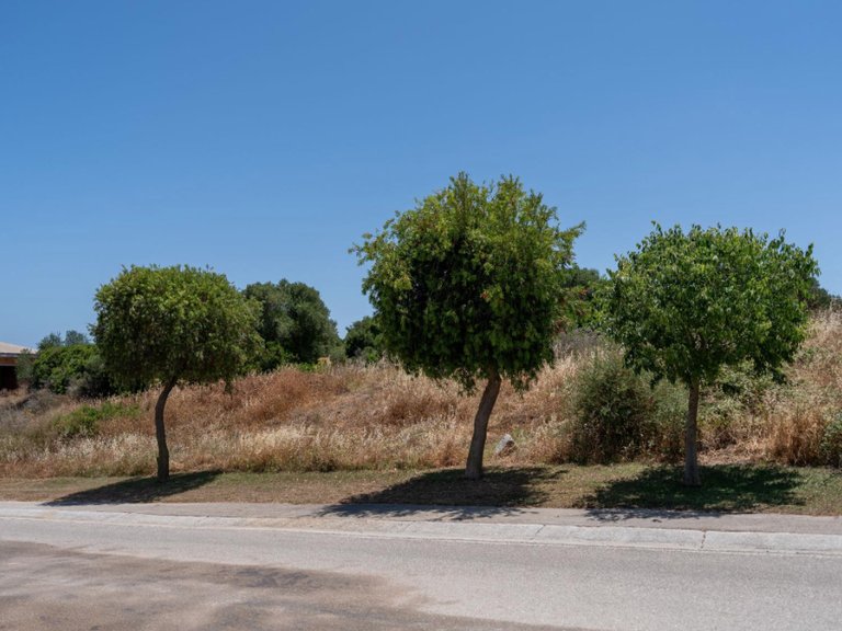Plot for Sale in Sotogrande Cadiz 4