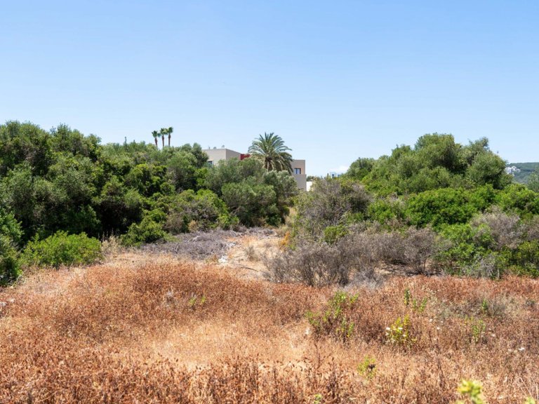 Plot for Sale in Sotogrande Cadiz 1