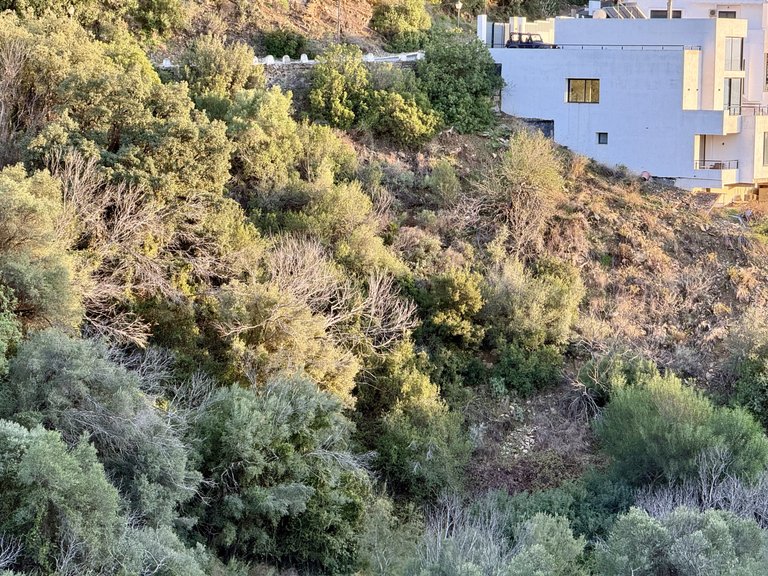 Plot for Sale in Marbella Este Malaga 14
