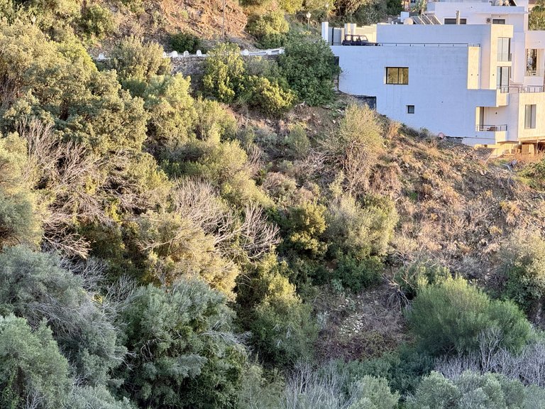 Plot for Sale in Marbella Este Malaga 15