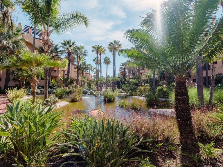 Apartment for Sale in San Pedro De Alcantara Malaga 13