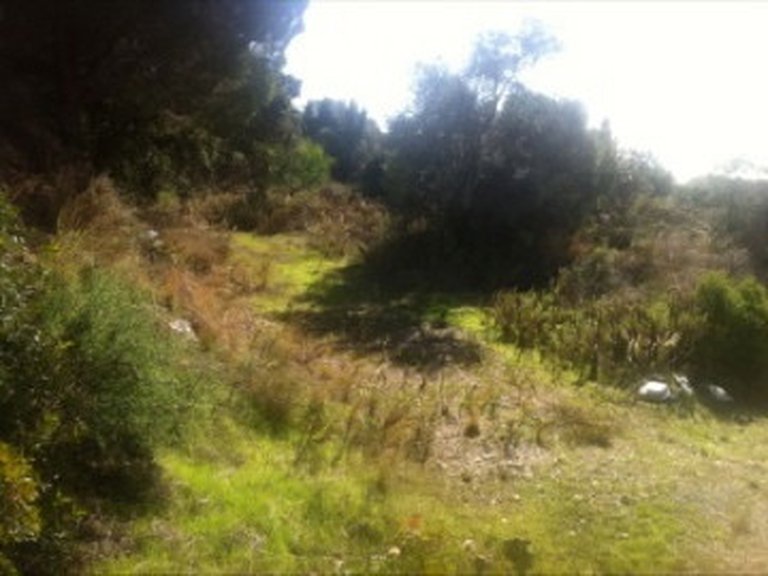 Plot for Sale in Marbella Este Malaga 2