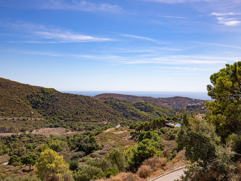 Villa for Sale in Benahavis Malaga 19