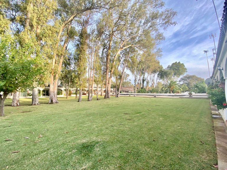 Apartment for Sale in Estepona Malaga 14