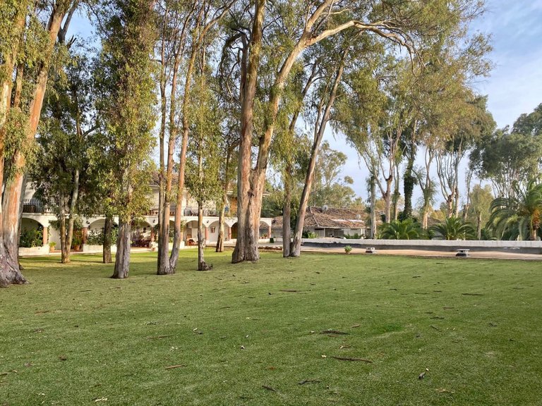 Apartment for Sale in Estepona Malaga 16
