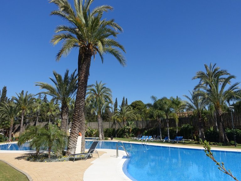 Apartment for Sale in Nueva Andalucia Malaga 1