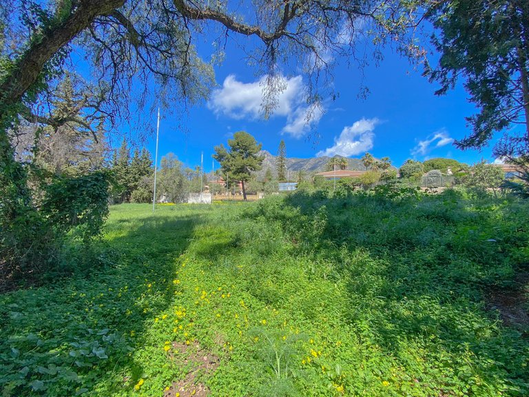 Plot for Sale in Marbella, Malaga 1