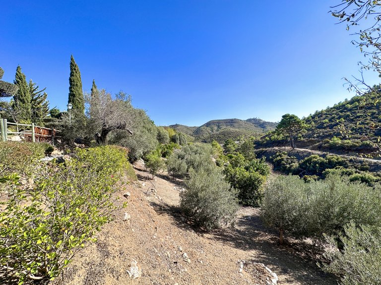 Country House for Sale in Ojen, Malaga 32
