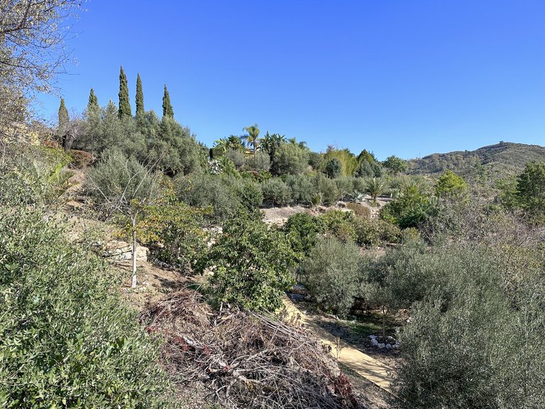 Country House for Sale in Ojen, Malaga 31