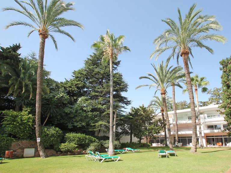 Penthouse for Sale in Marbella, Malaga 20