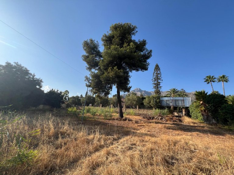 Plot for Sale in Marbella, Malaga 4