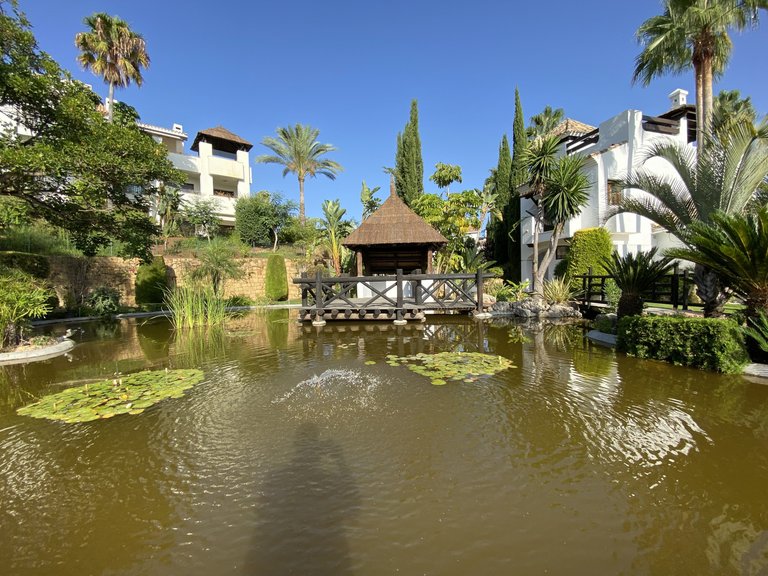 Apartment for Sale in Marbella, Malaga 26