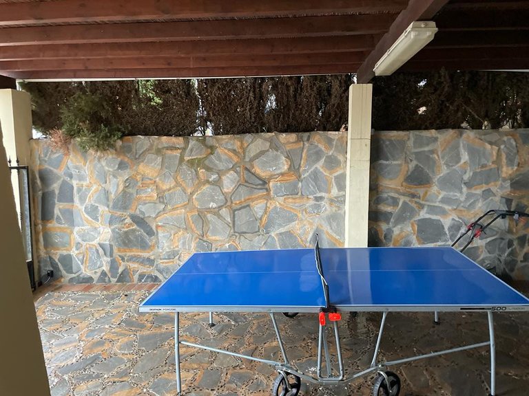 Villa for Sale in Marbella, Malaga 14