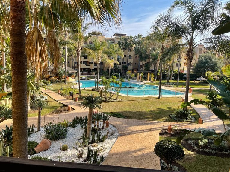 Apartment for Rent in Estepona, Malaga 13