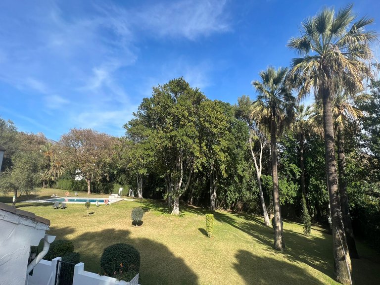 Apartment for Sale in Marbella, Malaga 8