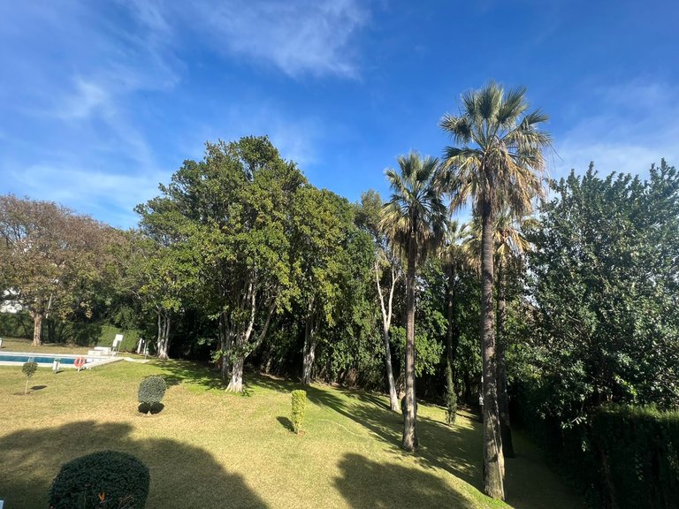 Apartment for Sale in Marbella, Malaga 32