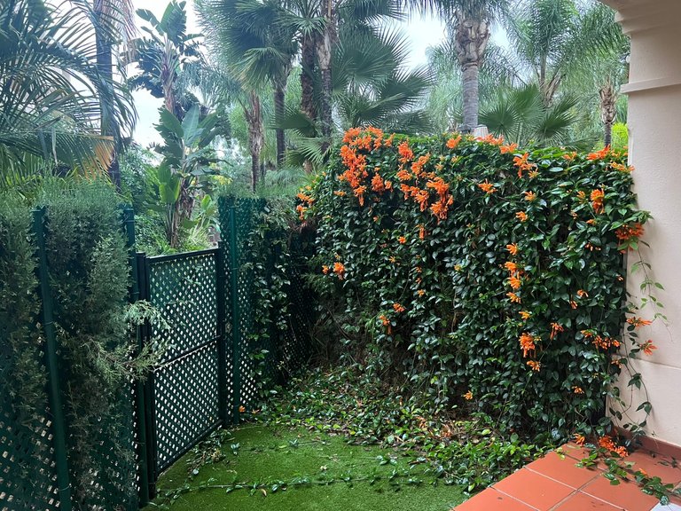 Apartment for Rent in Marbella, Malaga 7